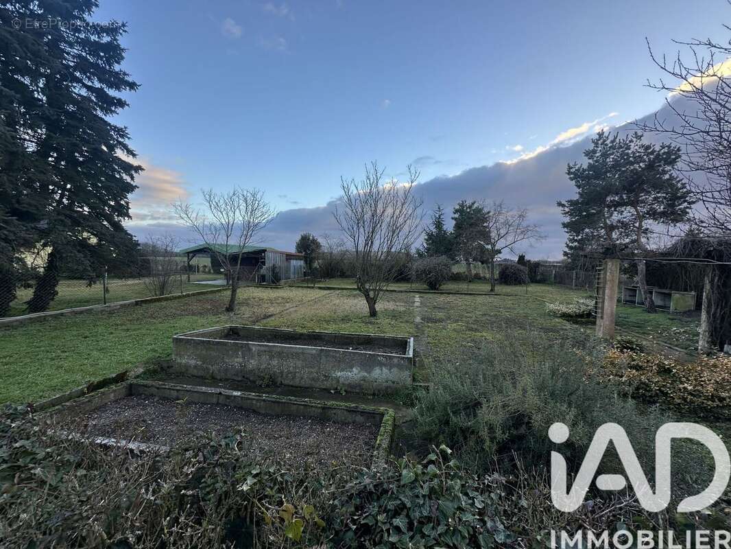 Photo 3 - Maison à WITTELSHEIM