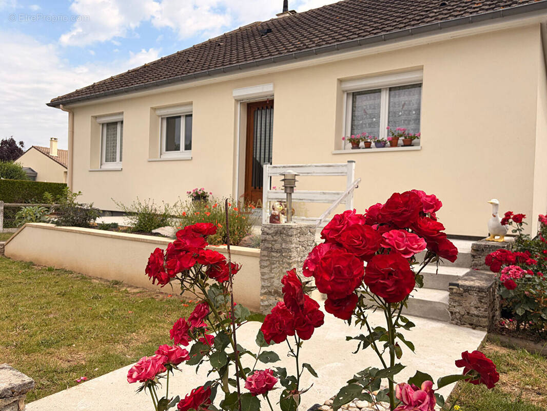 Maison à MOULT