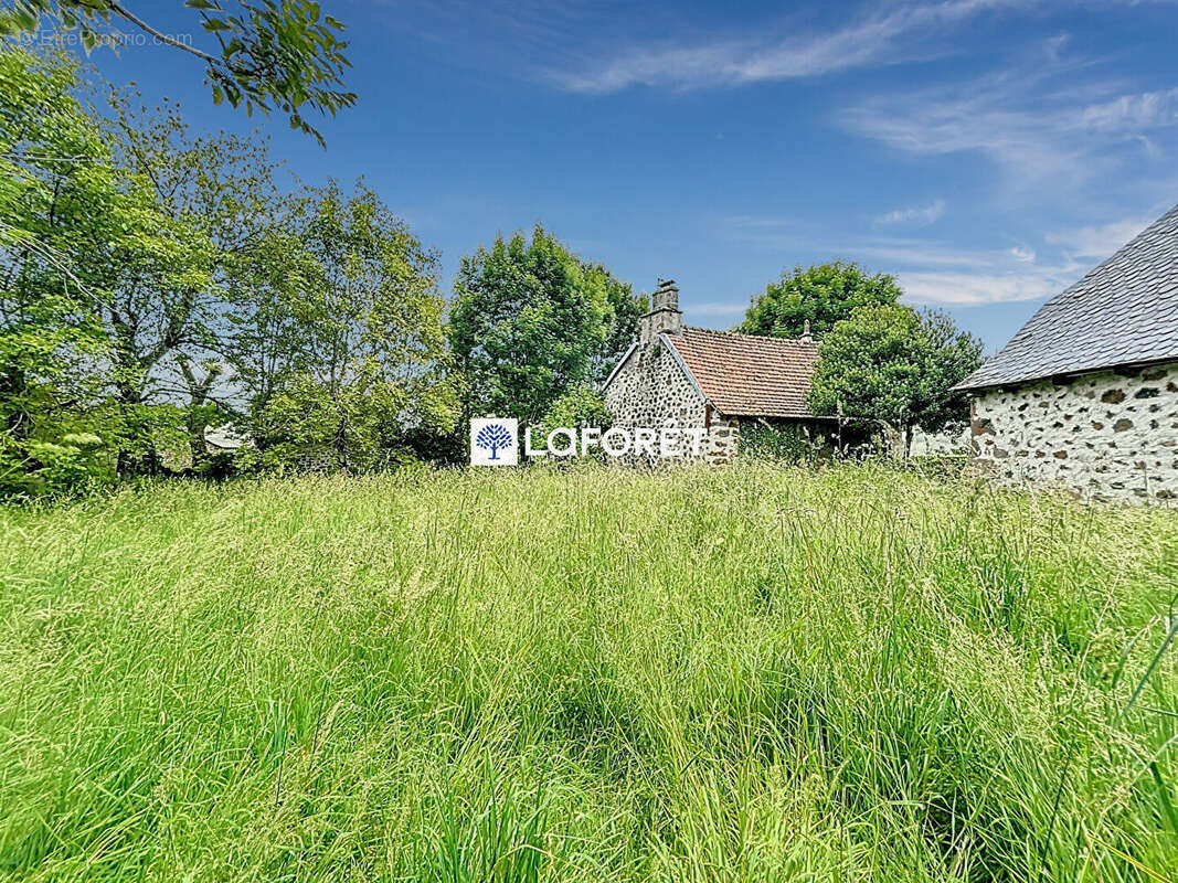 Maison à THERONDELS