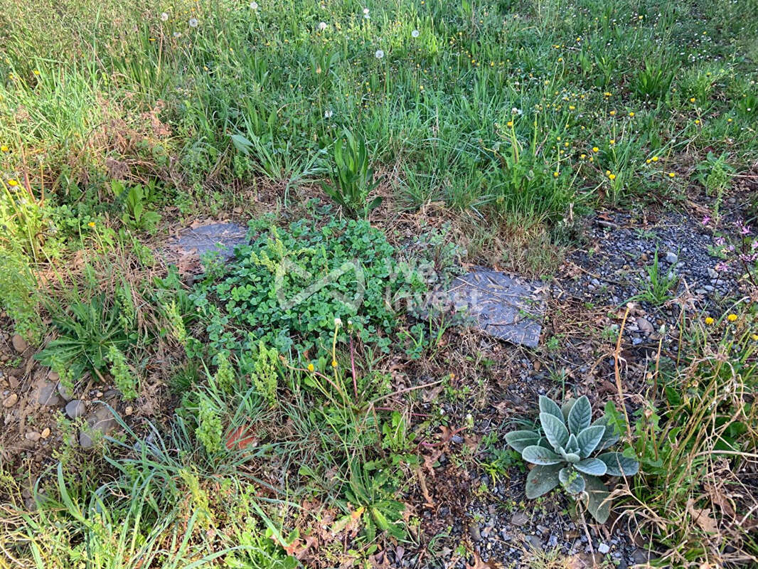 Terrain à SAULT-DE-NAVAILLES