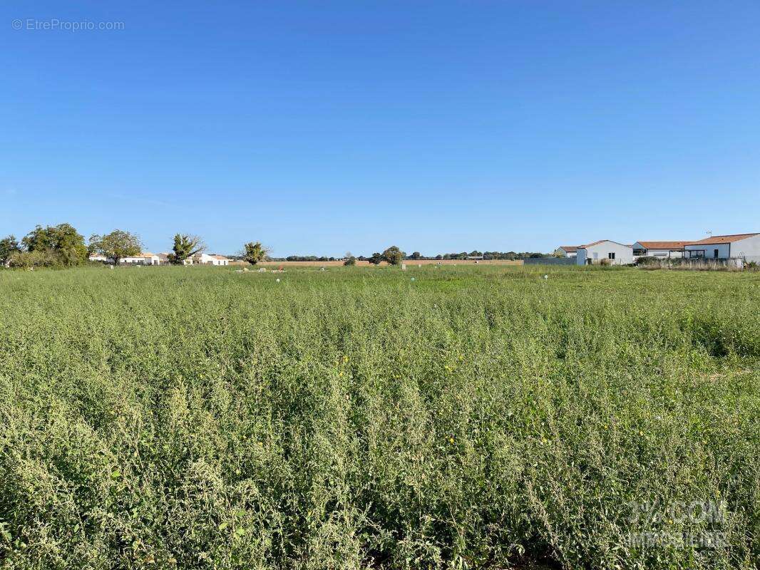 Terrain à SAINT-PORCHAIRE