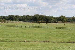 Haras de Reproduction Clé en Main sur 52 ha dans le Morbihan (5 - photo 10