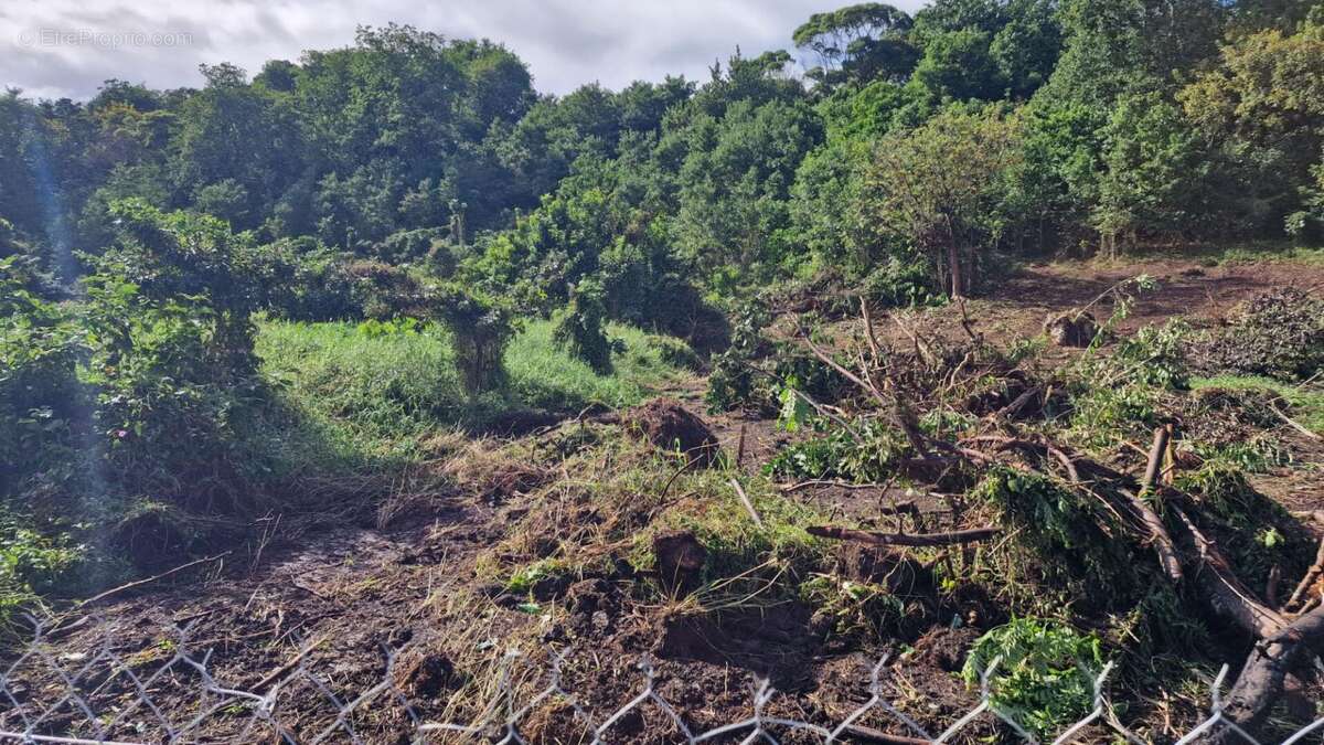 Terrain à LES ABYMES