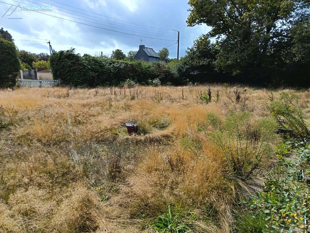 Terrain agricole - photo 2