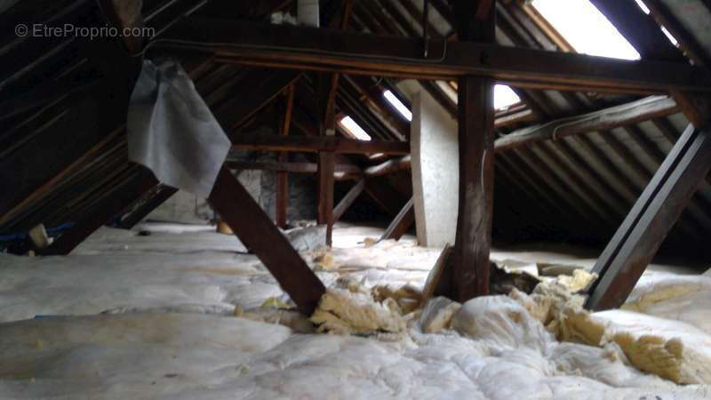 Commerce à MAISONS-LAFFITTE