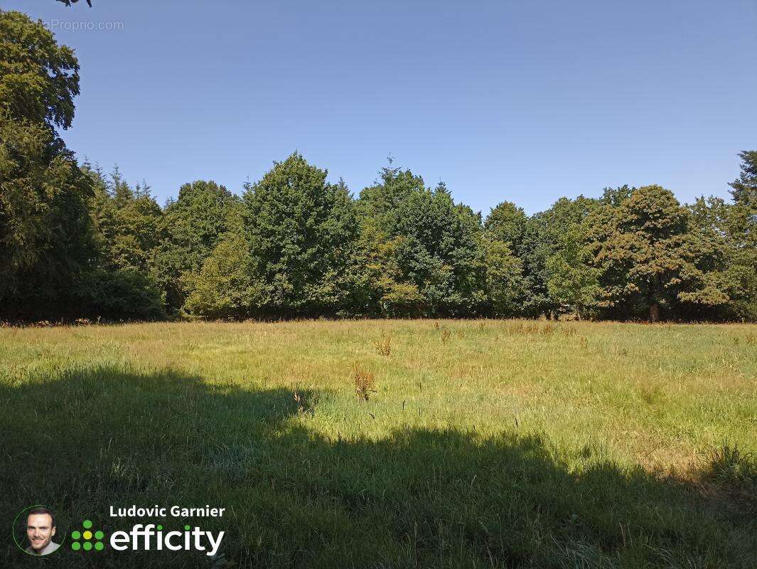 Maison 115 m² à Vire  - photo 23