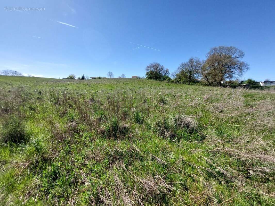 20260408154334 - Terrain à SAINT-MARTORY