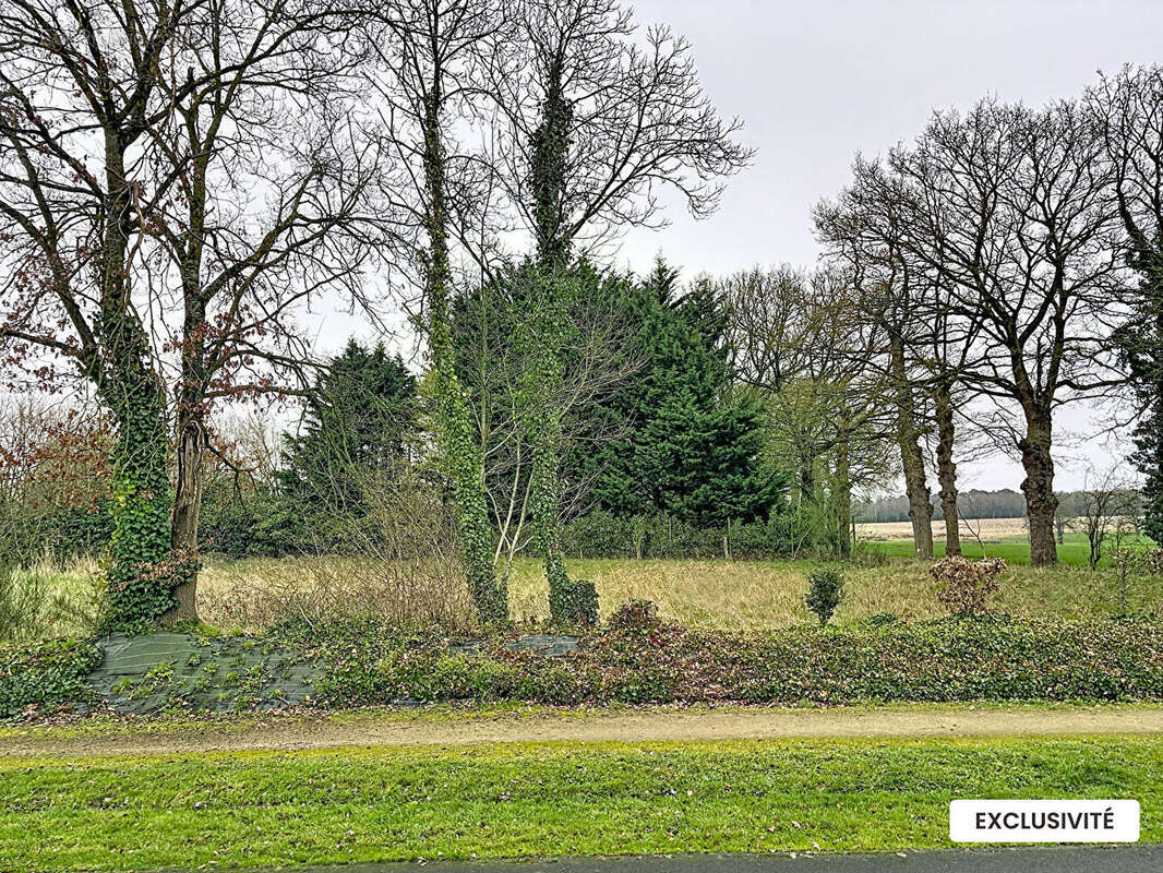 Maison à SAINT-SULPICE-LA-FORET