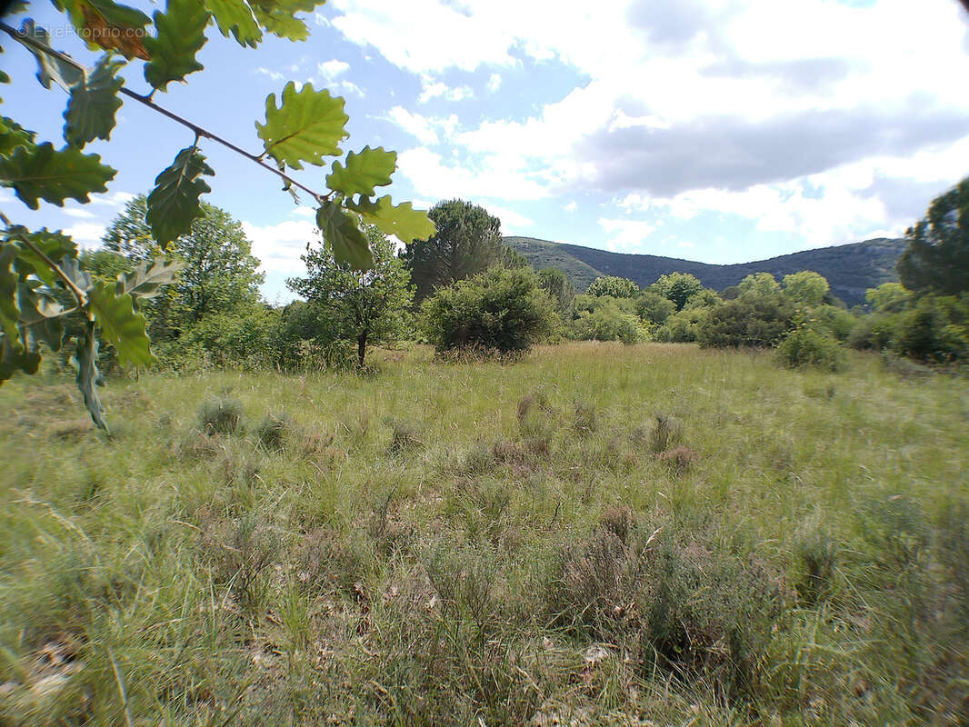 Terrain à SAUVE