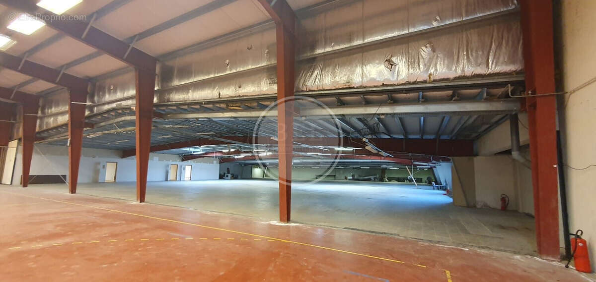 Commerce 3100 m² à Saint-Clement-Les-Places  - photo 4