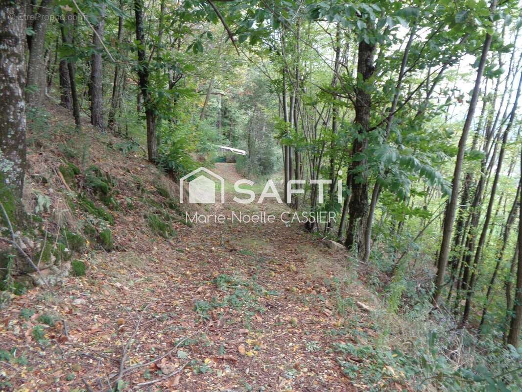 Photo 3 - Terrain à VERNOUX-EN-VIVARAIS