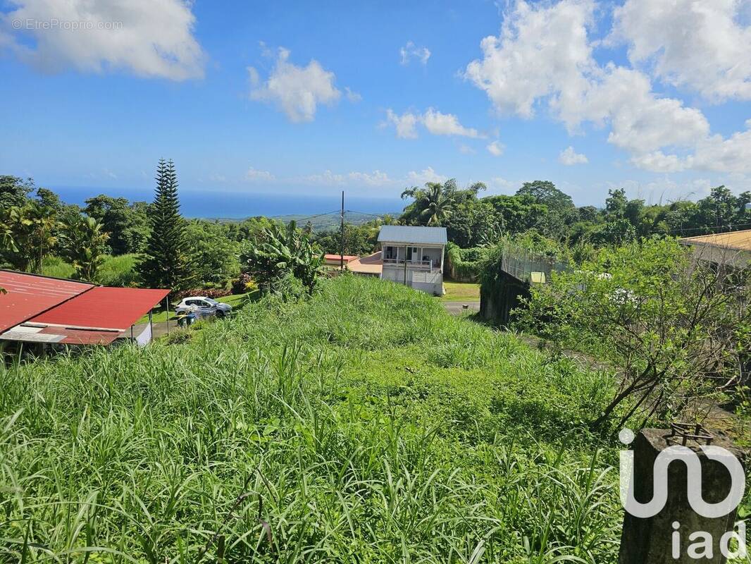 Photo 1 - Terrain à L'AJOUPA-BOUILLON
