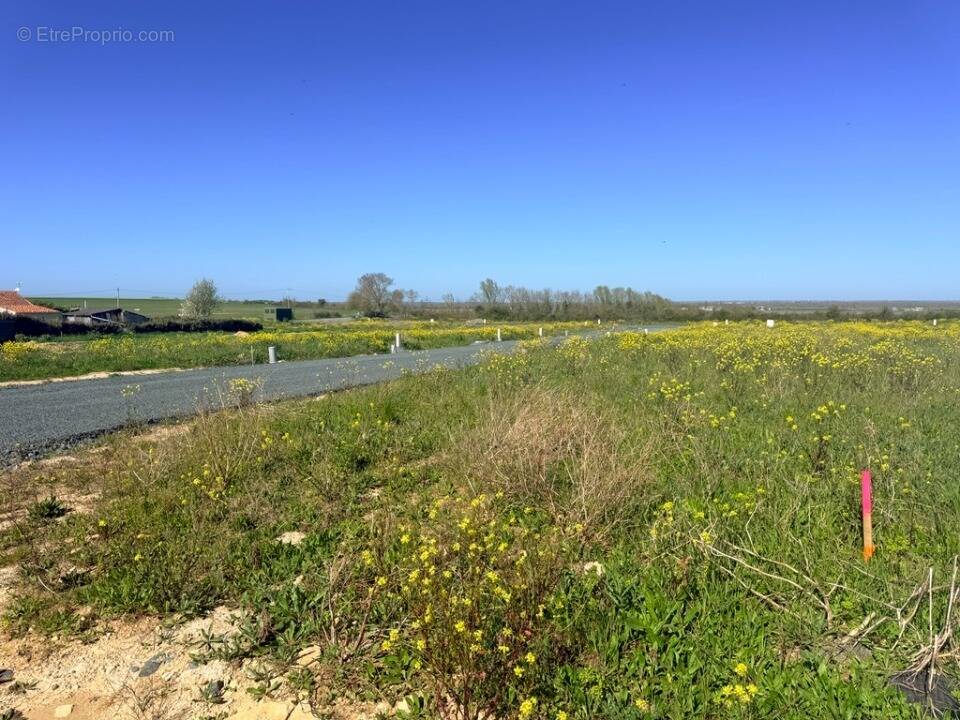 Terrain à AUZAY