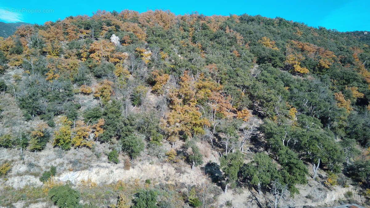 Terrain à ARLES-SUR-TECH