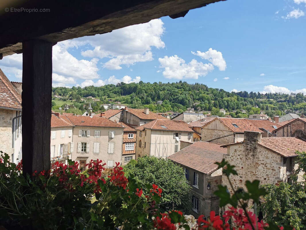 Hôtel particulier - photo 16