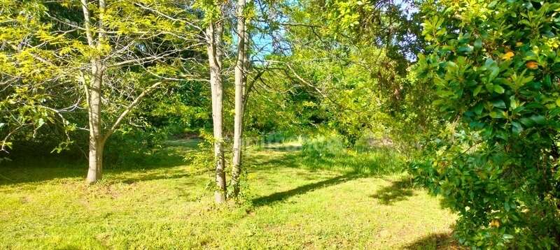 Maison de campagne à vendre 6 pièces  (20) 2700m2 de terrain piscinable - photo 2