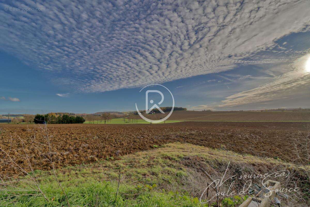 Terrain à BEAUMONT-DE-LOMAGNE