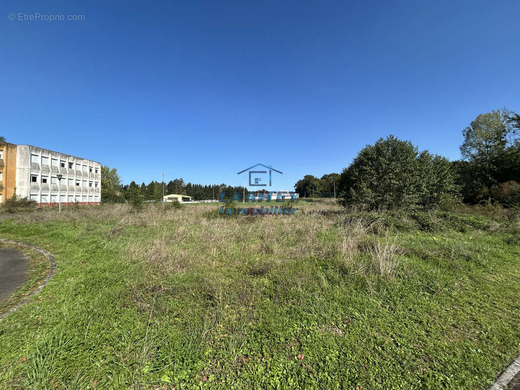 Immeuble de 3385 m2 - photo 14