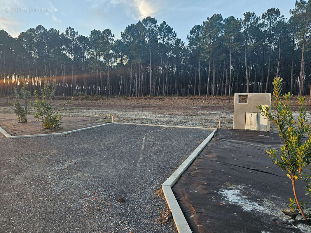 Terrain à VIELLE-SAINT-GIRONS