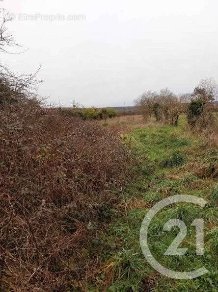 Maison 48 m² à Marcilly-Sur-Eure  - photo 3