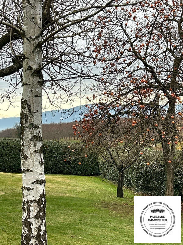 jardin , coup de coeur  - Maison à GRANGES-LES-BEAUMONT