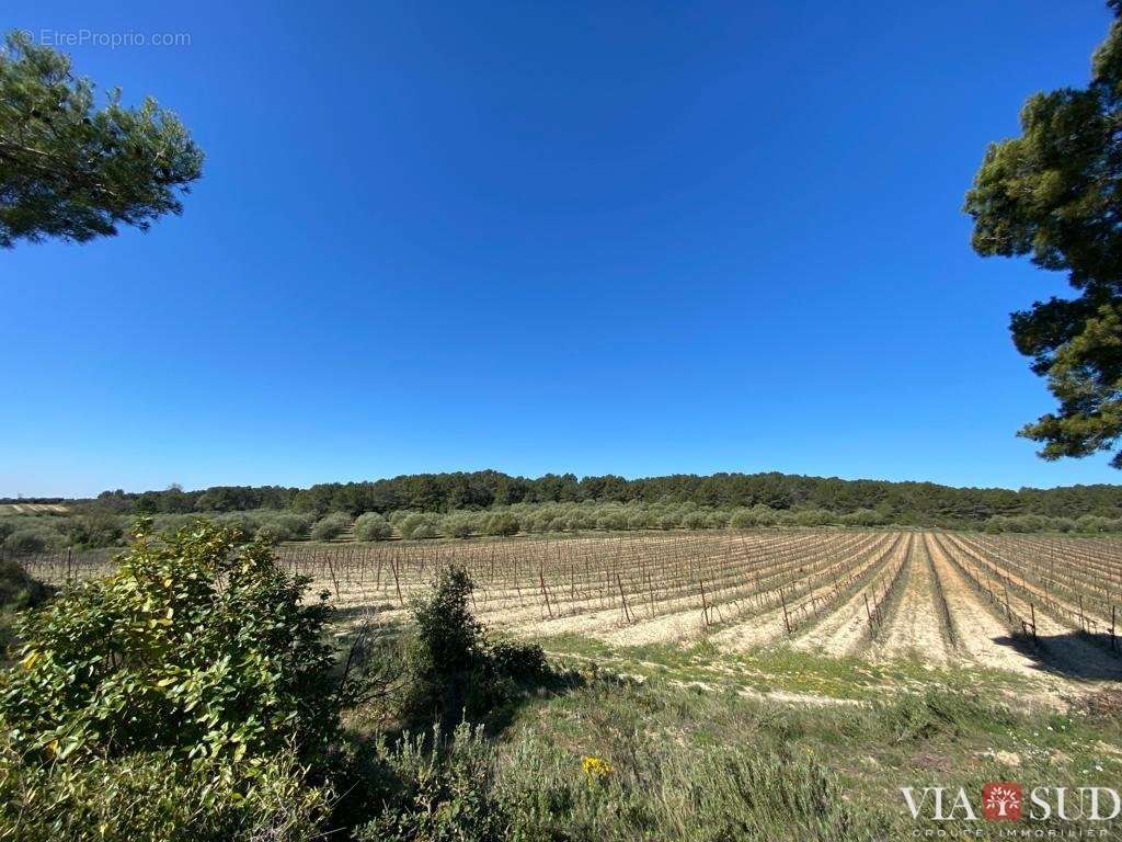 Maison à SAINT-CHINIAN