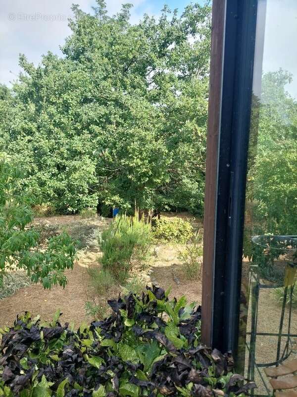Montesquieu volvestre, Maison avec jardin et garage - photo 8