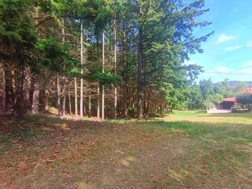 Maison à SAINT-JULIEN-LE-ROUX