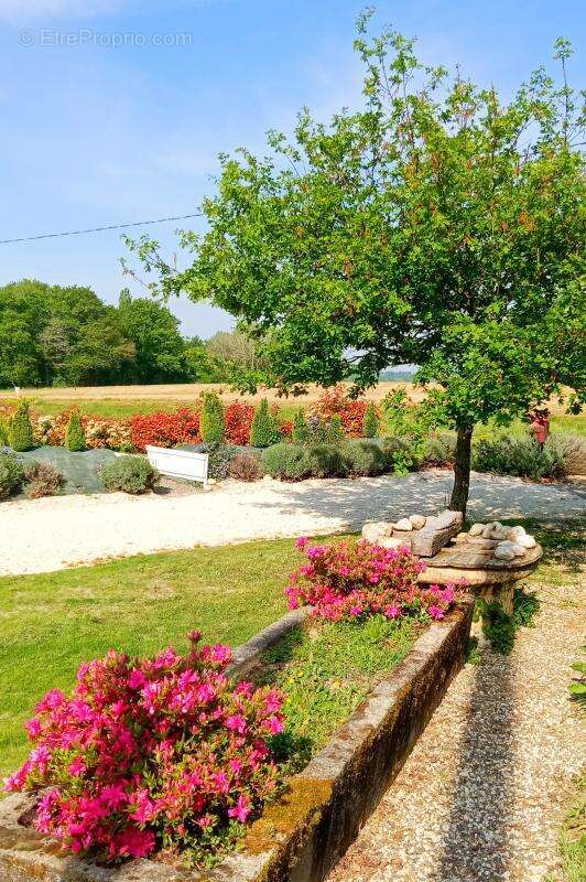 Maison à BAHUS-SOUBIRAN