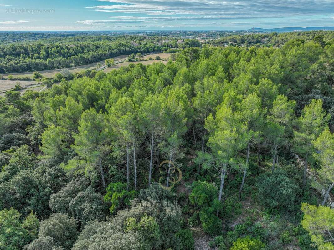 Terrain à SAINT-CLEMENT-DE-RIVIERE