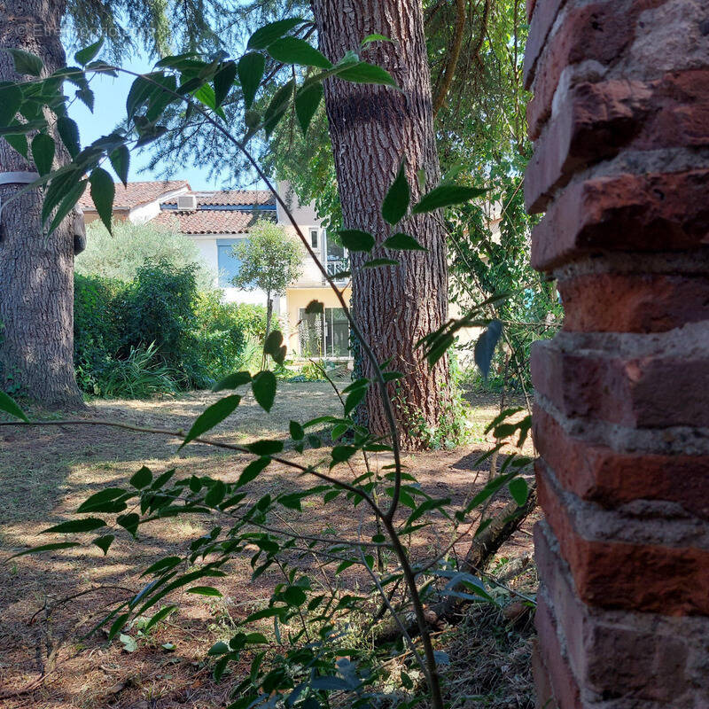 Maison à MONTAUBAN