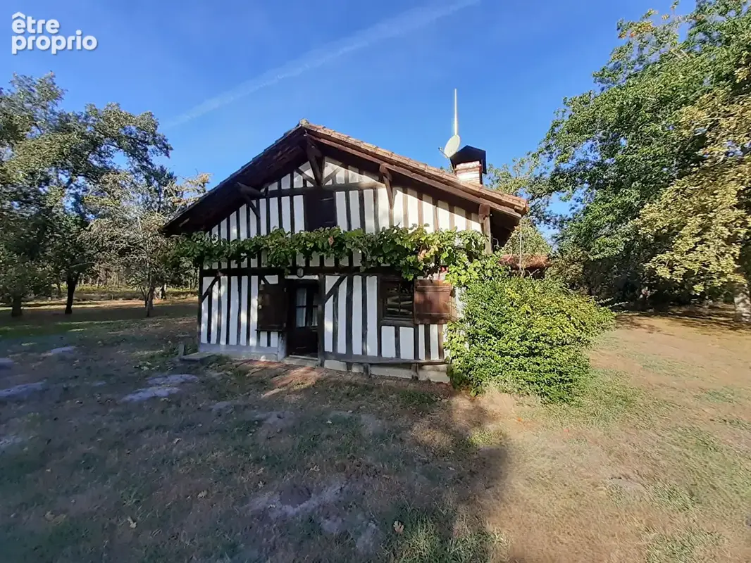 Authentique ferme landaise rénovée 8 pièces de 198 m² à Vert - photo 12