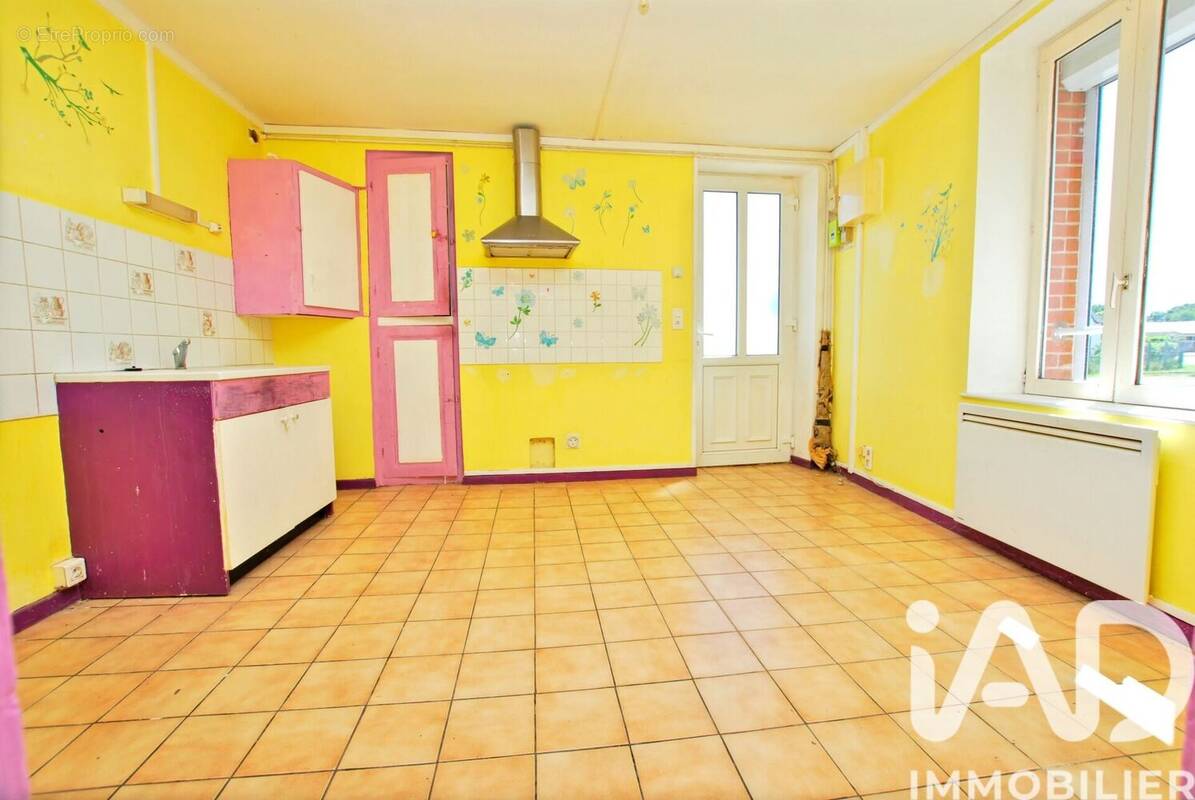 Photo 1 - Maison à OUZOUER-SUR-TREZEE