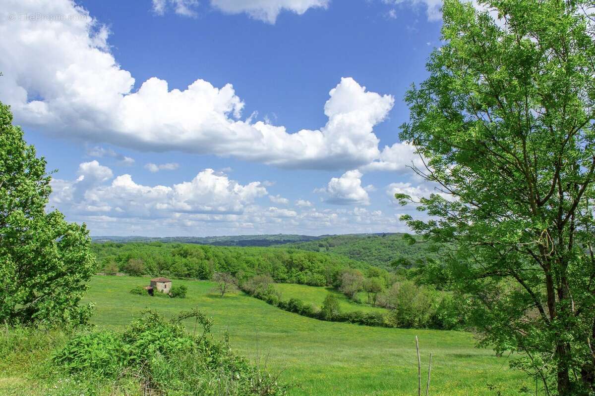 Propriété d'exception à la campagne avec potentiel de revenus au cœur du Lot - photo 21