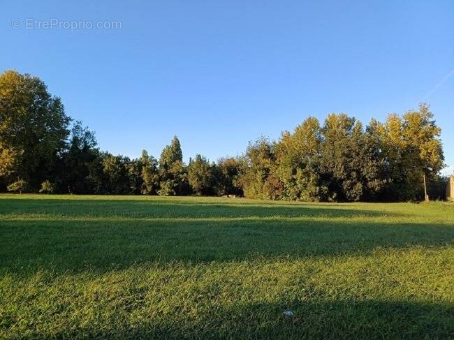 Terrain à POLLESTRES