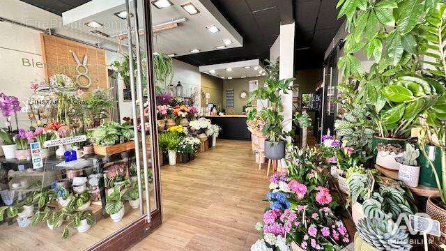 Photo 3 - Commerce à CASTRIES