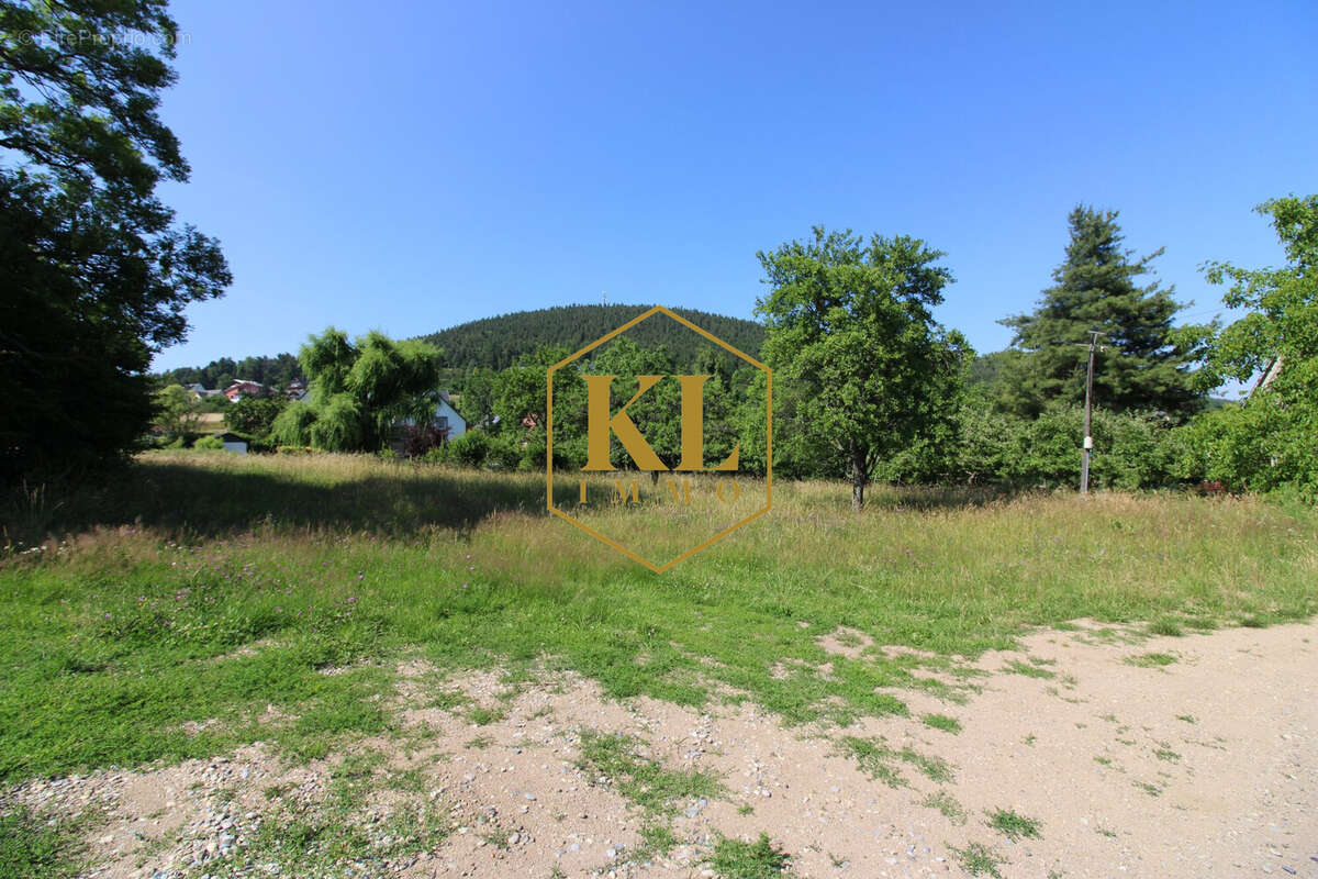 Terrain à LABAROCHE