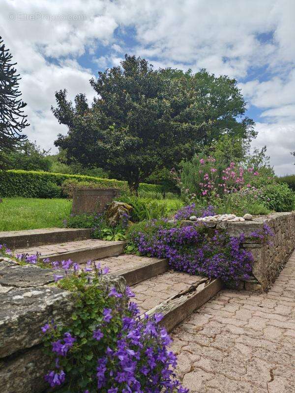 Propriété en pierre 208 m² dont 45 m² de véranda + grange 180 m² – Accessible PMR – 7000 m² – 20 min de Vannes! - photo 25