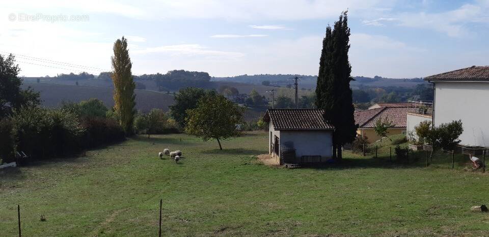 Terrain à MONTASTRUC-LA-CONSEILLERE