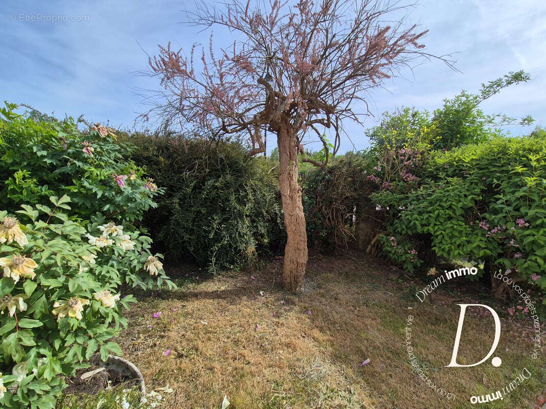 jardinet avant - Maison à GASNY