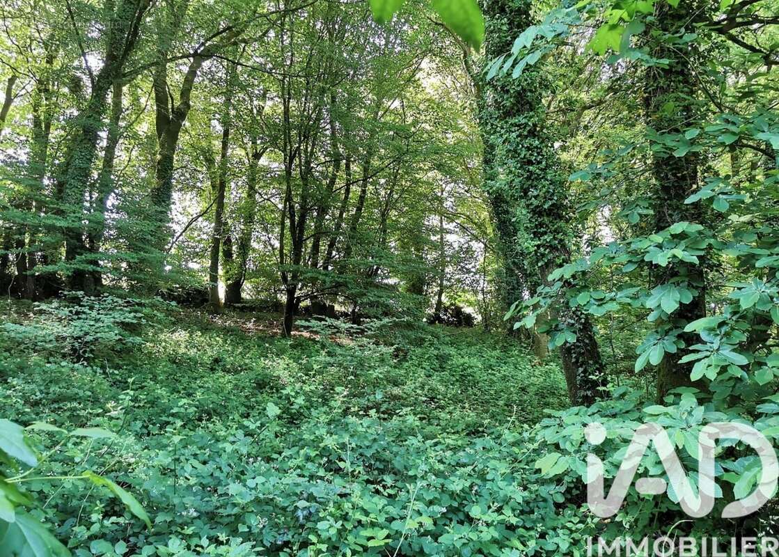 Photo 2 - Terrain à POULLAOUEN
