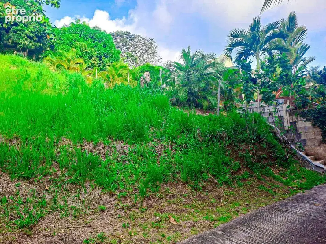 Terrain à RIVIERE-PILOTE