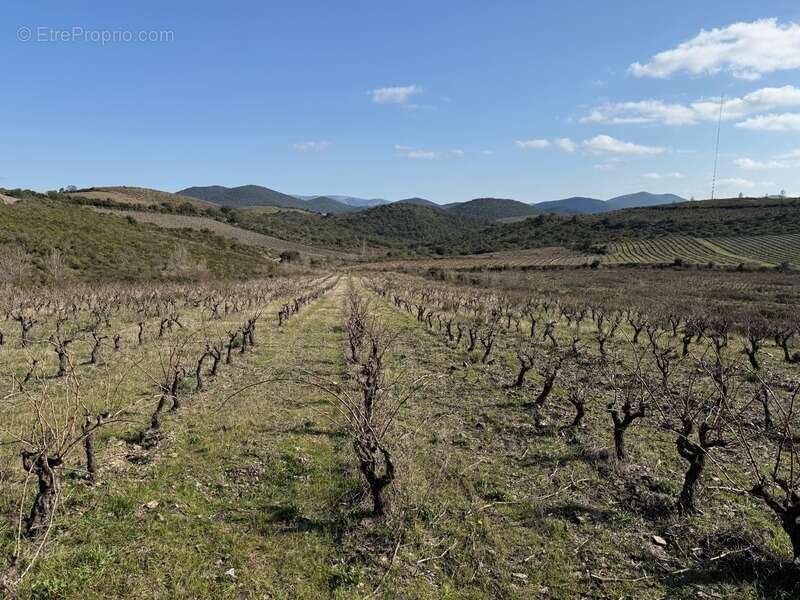 Maison à CASCASTEL-DES-CORBIERES