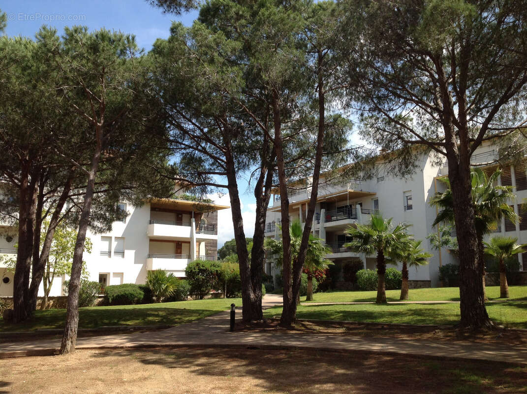 Appartement à CALVI