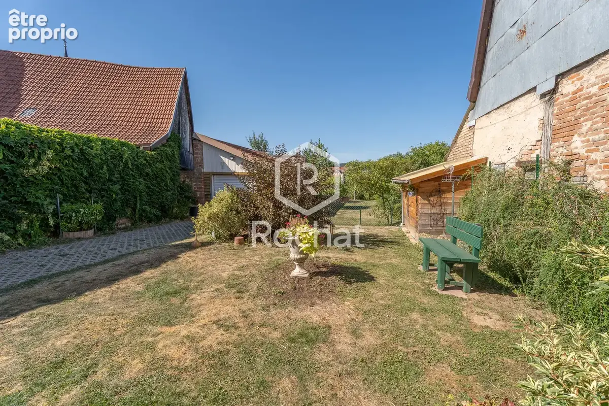 Viager occupé   authentique maison alsacienne de caractère   117,75 m2 habitables - photo 33