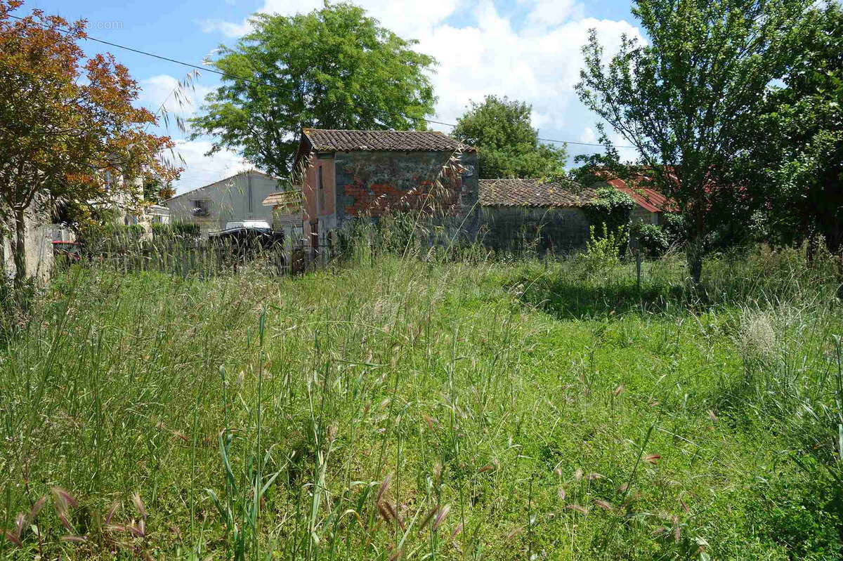 Maison en pierre avec dépendances sur grand terrain de 4700m2 - photo 4