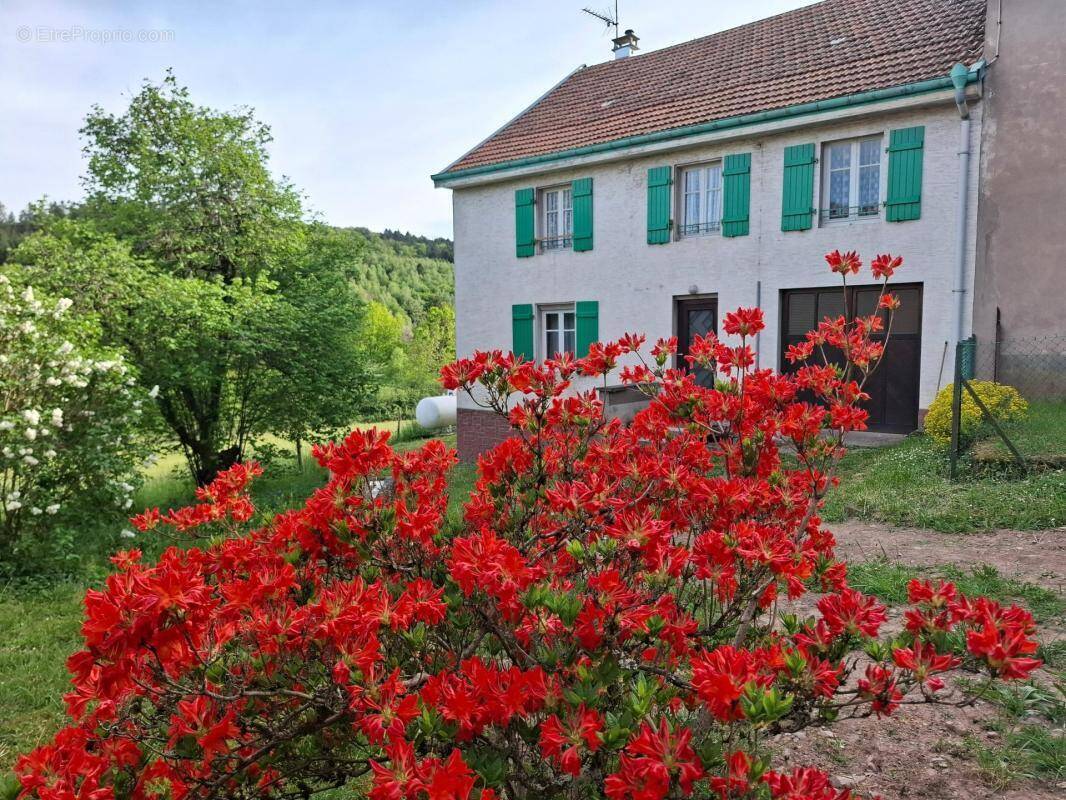 Maison à MOYENMOUTIER