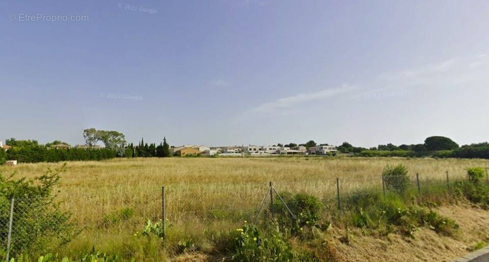 Terrain à LATOUR-BAS-ELNE