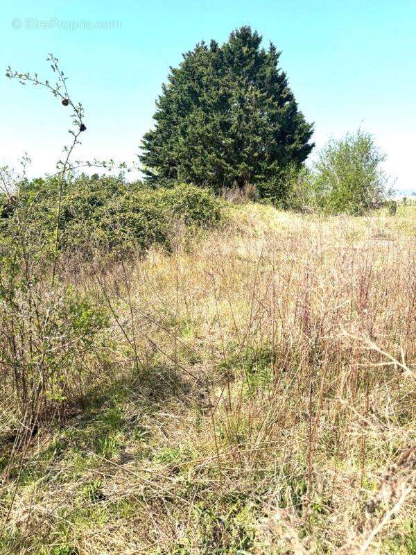 Terrain à MAREST-DAMPCOURT