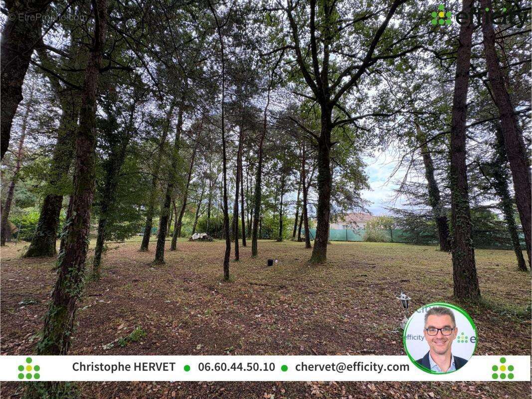 Terrain 1043 m² à Dirac  - photo 5